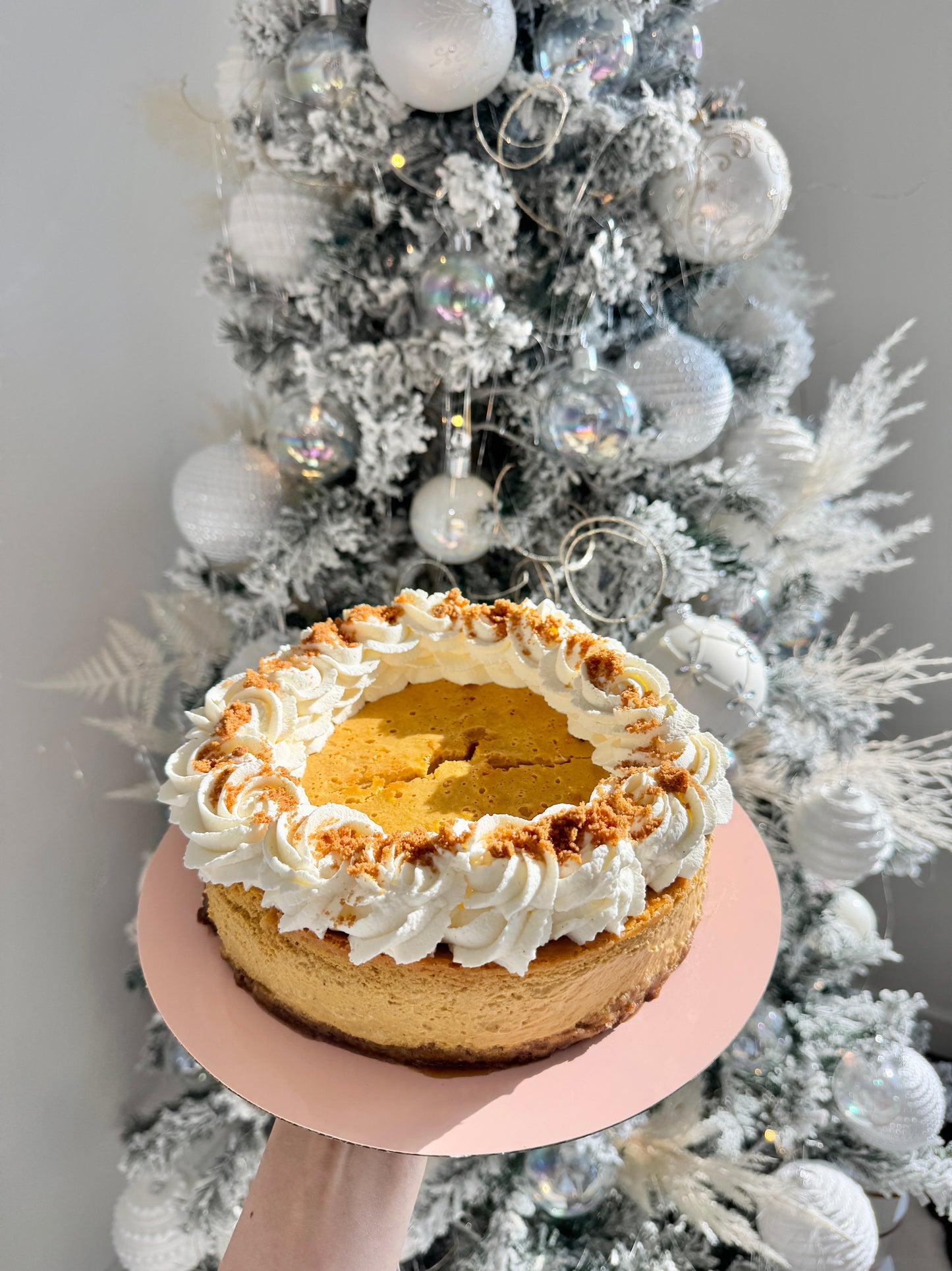 Pumpkin Cheesecake - 8”